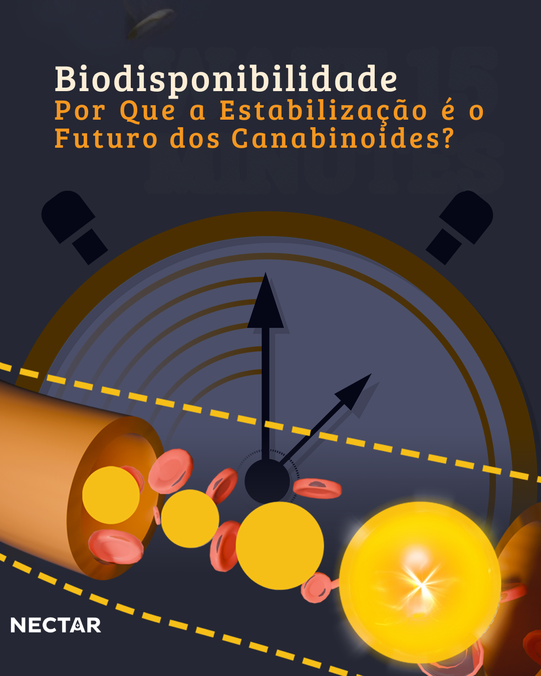 Biodisponibilidade e estabilização de canabinoides
