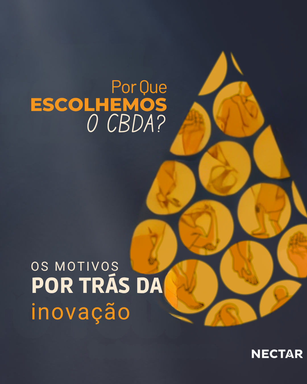 CBDA - A escolha estratégica da Nectar Brasil
